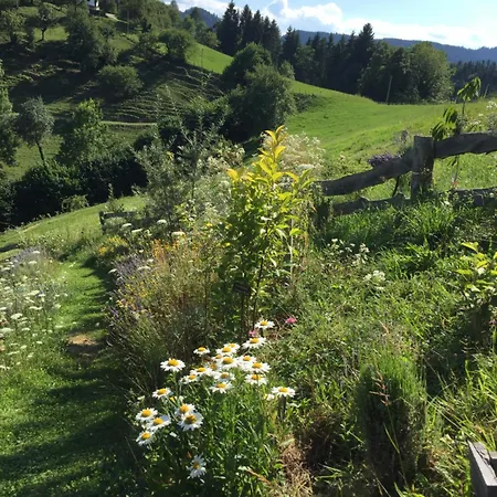 Apartment Serschenhof- Auszeit Ueber Dem Stall Leutschach