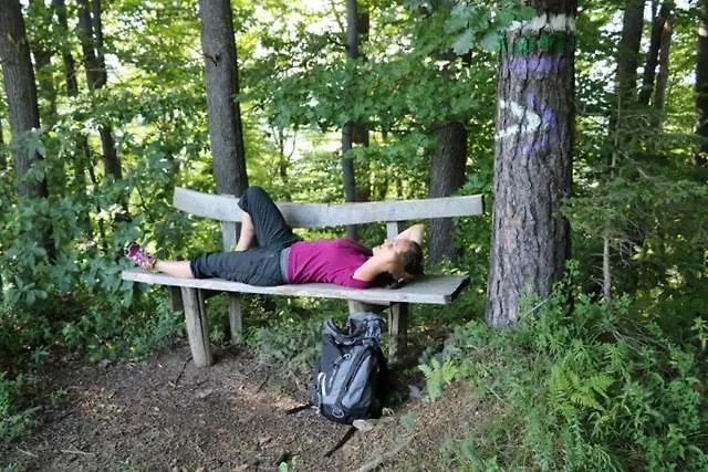 Serschenhof- Auszeit Ueber Dem Stall * Лойчах