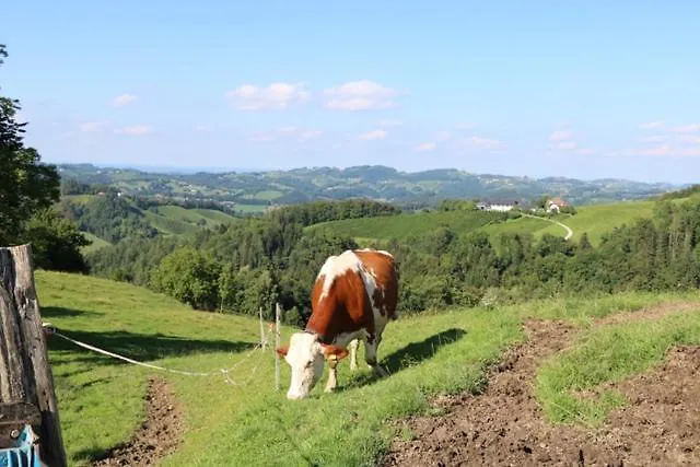 Serschenhof- Auszeit Ueber Dem Stall