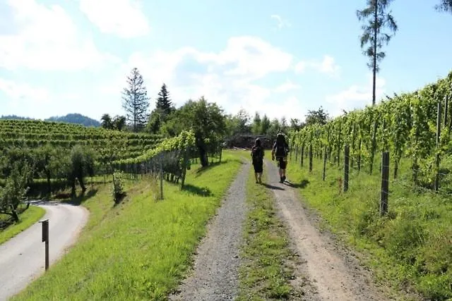 Serschenhof- Auszeit Ueber Dem Stall