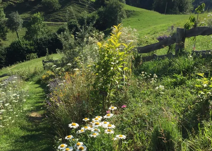Апартаменты Serschenhof- Auszeit Ueber Dem Stall Лойчах